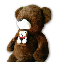 Brown-plush-Teddy-Bear2